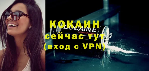 мяу мяу кристалл Гусь-Хрустальный