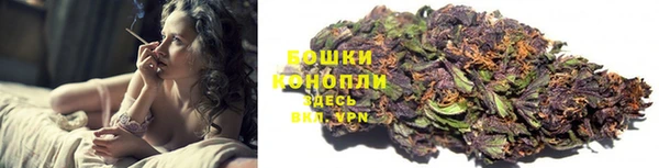 дживик Гусев