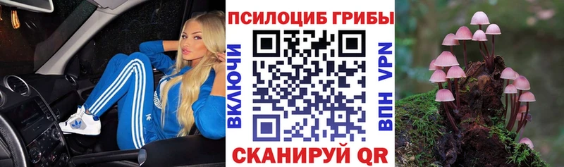 Псилоцибиновые грибы ЛСД  мега рабочий сайт  Оха 